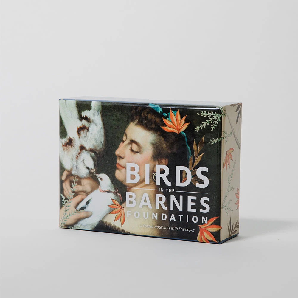 Birds in the Barnes Foundation boxed notecard set by Barnes Foundation.