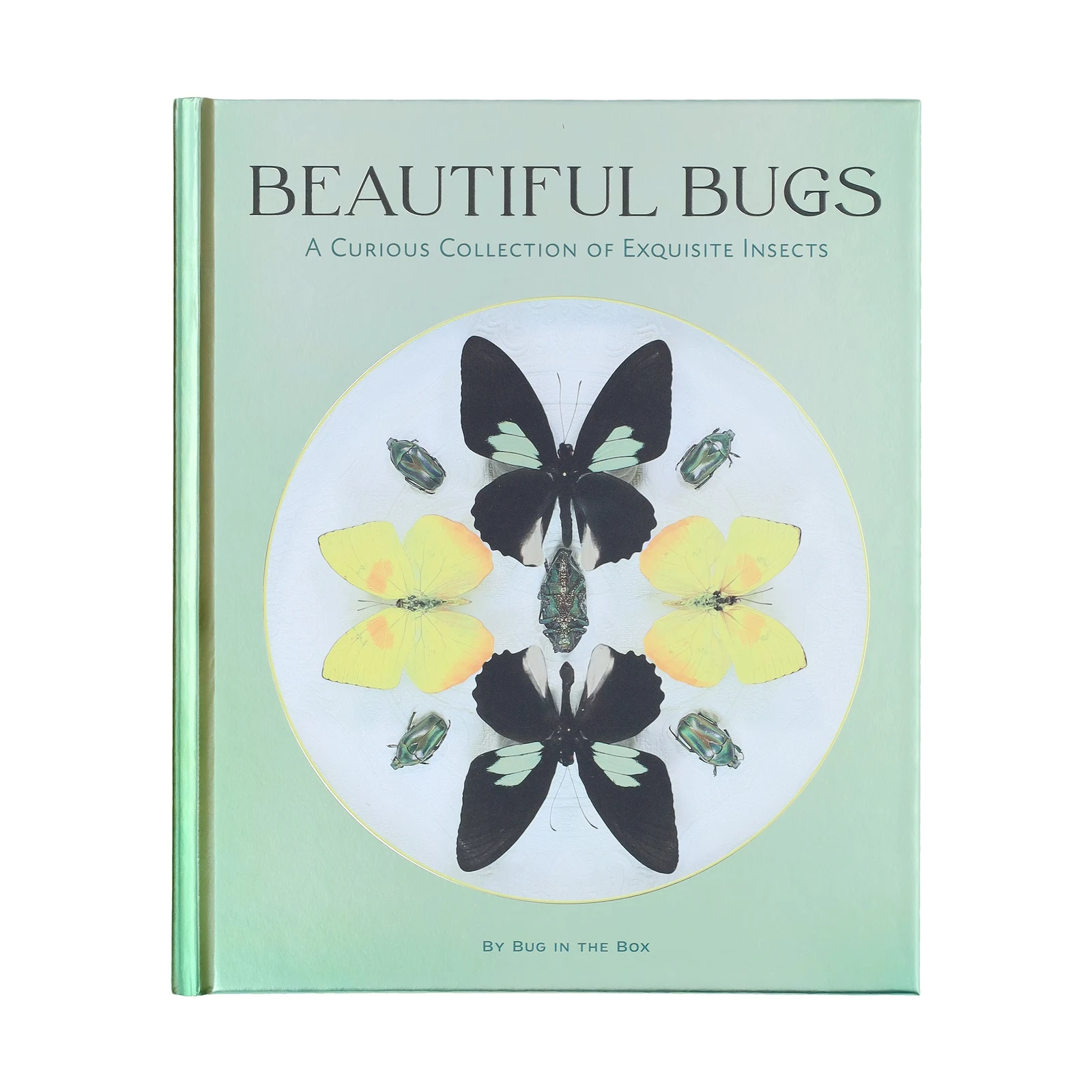 Beautiful Bugs by Chronicle Books.