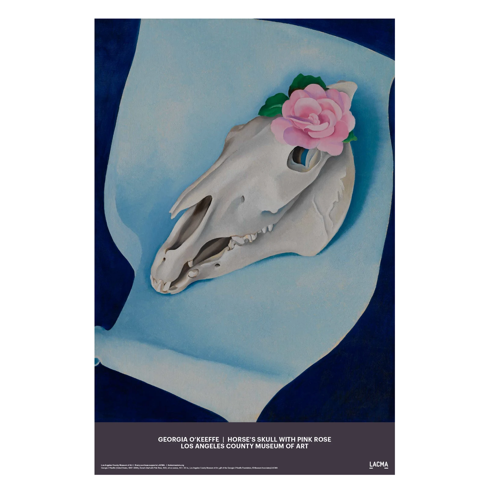 Georgia O'Keeffe: Horse Skull with Pink Rose LACMA Poster by LACMA Store.