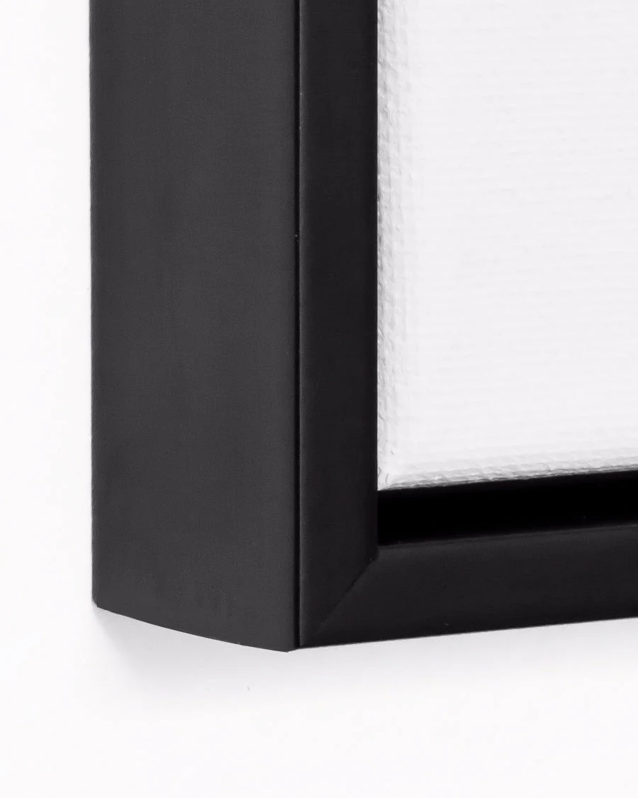 Canvas Float Black by Simply Framed.